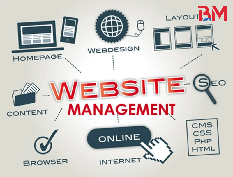 Quản Trị Website tại Phường Linh Xuân
