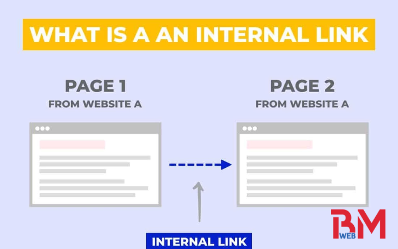 Internal link và External link 